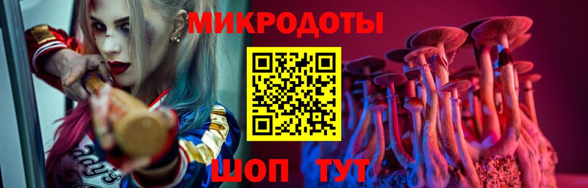 Галлюциногенные грибы GOLDEN TEACHER Черняховск