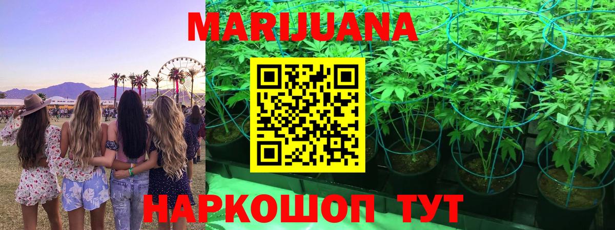 Шишки марихуана SATIVA & INDICA  Бошки Шишки планчик  МАРИХУАНА тримм  Шишки марихуана AK-47  Черняховск  Вход с VPN 